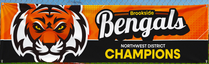 Vinyl Banner