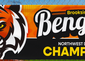 Vinyl Banner