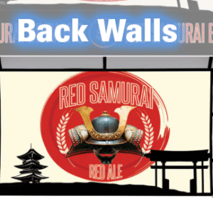 10' x 10' Steel Canopy Back Wall