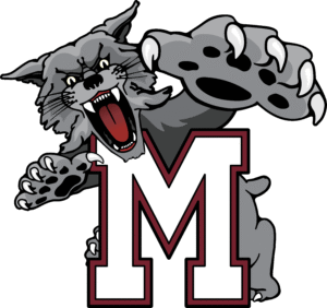 Mechanicsburg Area School District